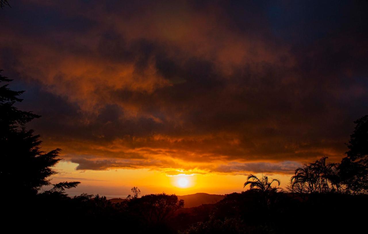 Sunset Monteverde Dış mekan fotoğraf