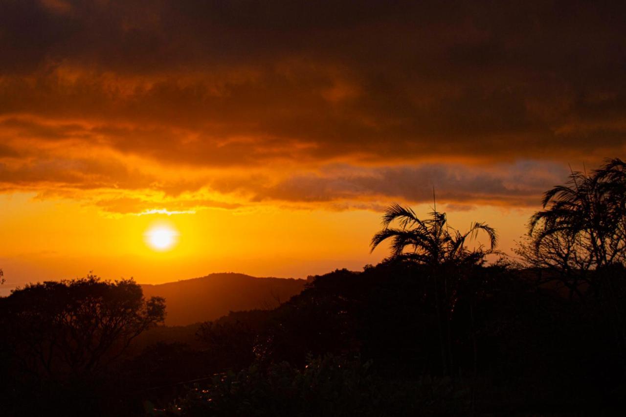 Sunset Monteverde Dış mekan fotoğraf