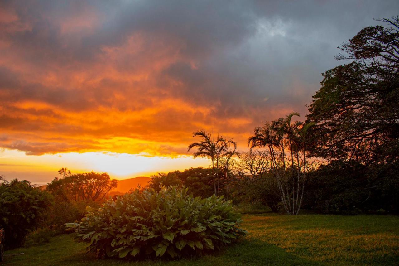 Sunset Monteverde Dış mekan fotoğraf