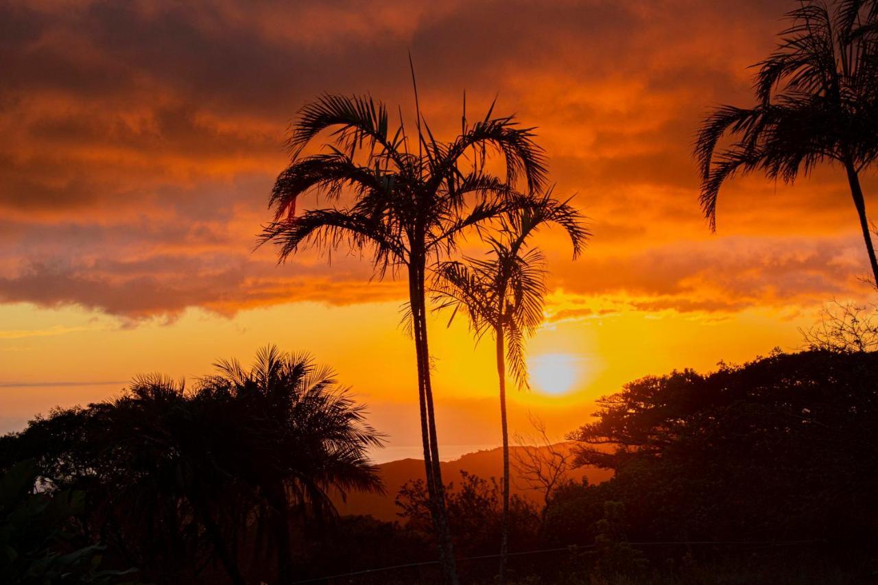 Sunset Monteverde Dış mekan fotoğraf