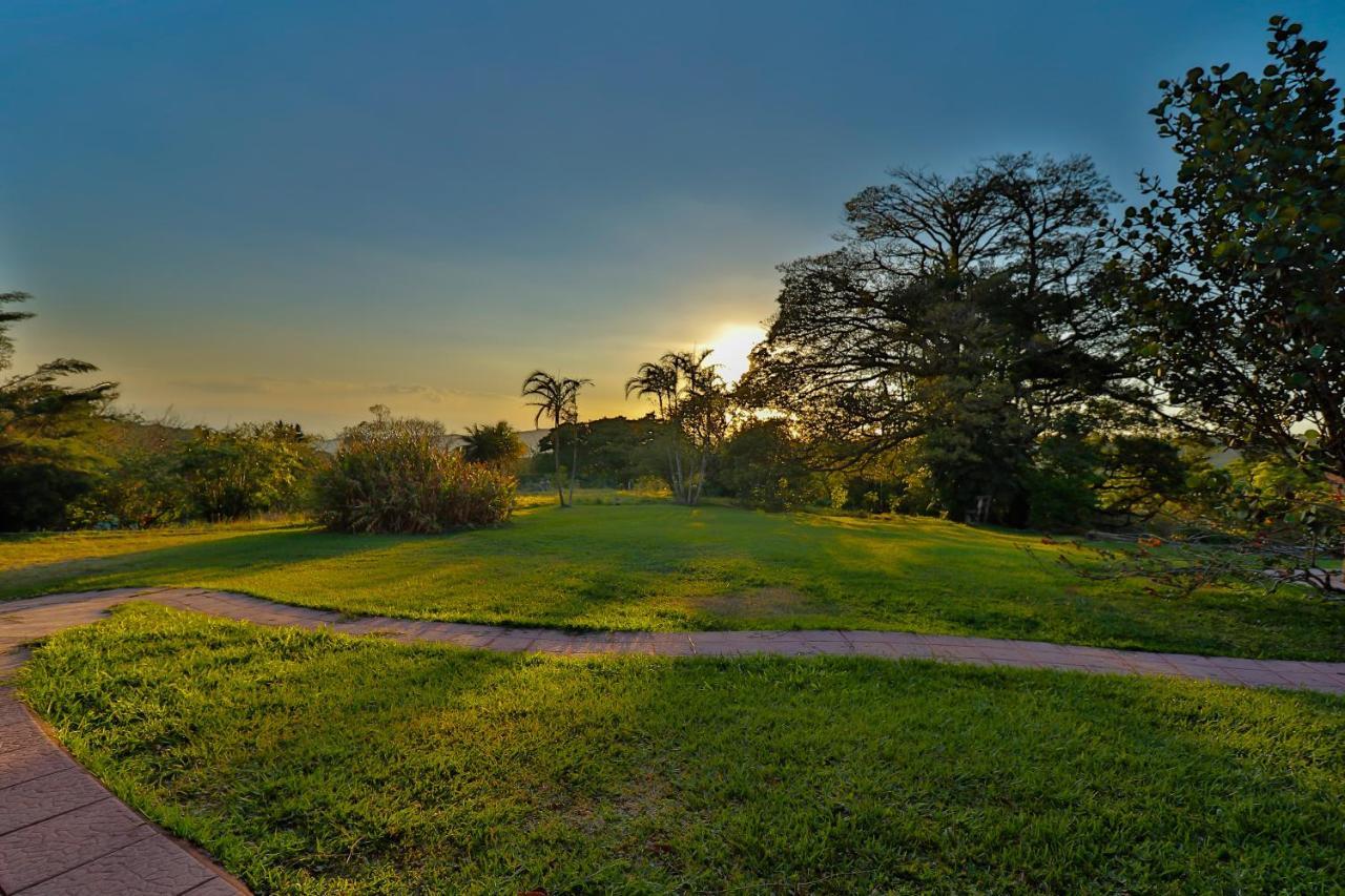 Sunset Monteverde Dış mekan fotoğraf